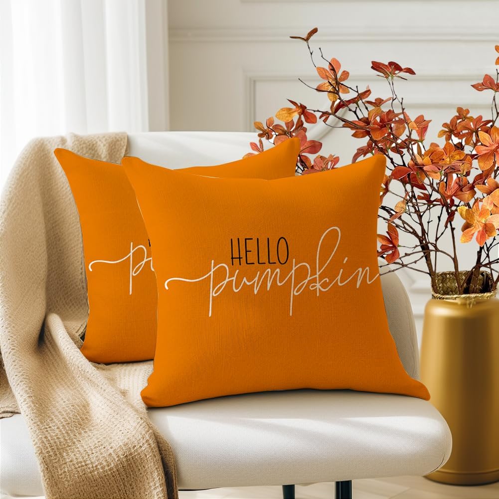 RABUSOFA Fall Pillow Covers 18x18 Pumpkin Decor Fall Decorations for Home image 2