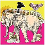 Vollwert-Records Berlin