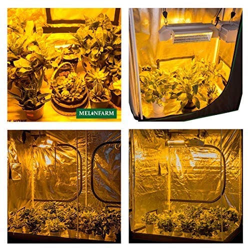 Melonfarm 2X2 Grow Tent 24"X24"X48''Reflective 600D Mylar Hydroponic With Observation Window, Floor Tray And Tool Bag For Indoor Plant Growing #TOP6