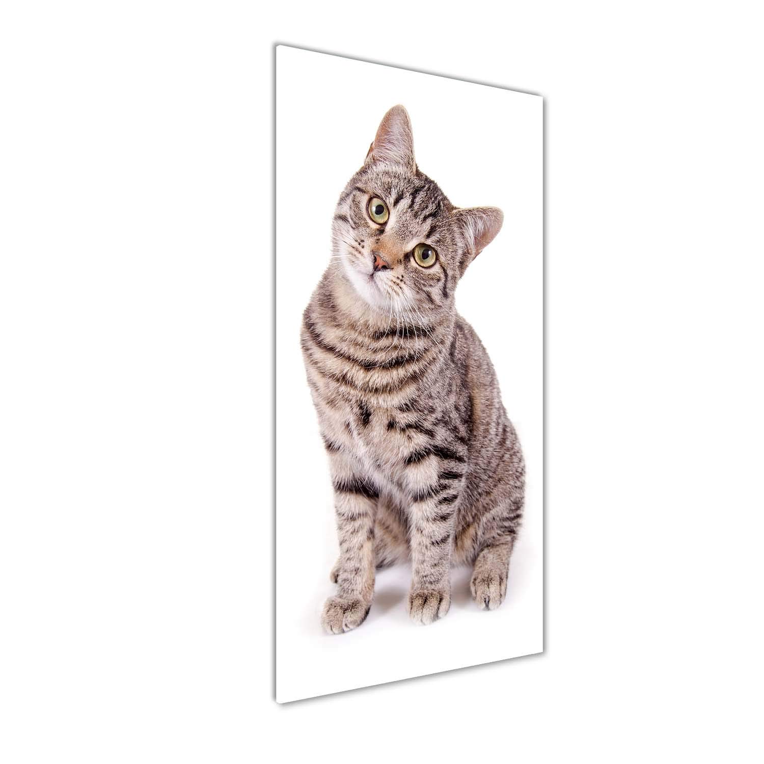 Tableaux pour la mur chat en verre acrylique Tulup 50x125 cm