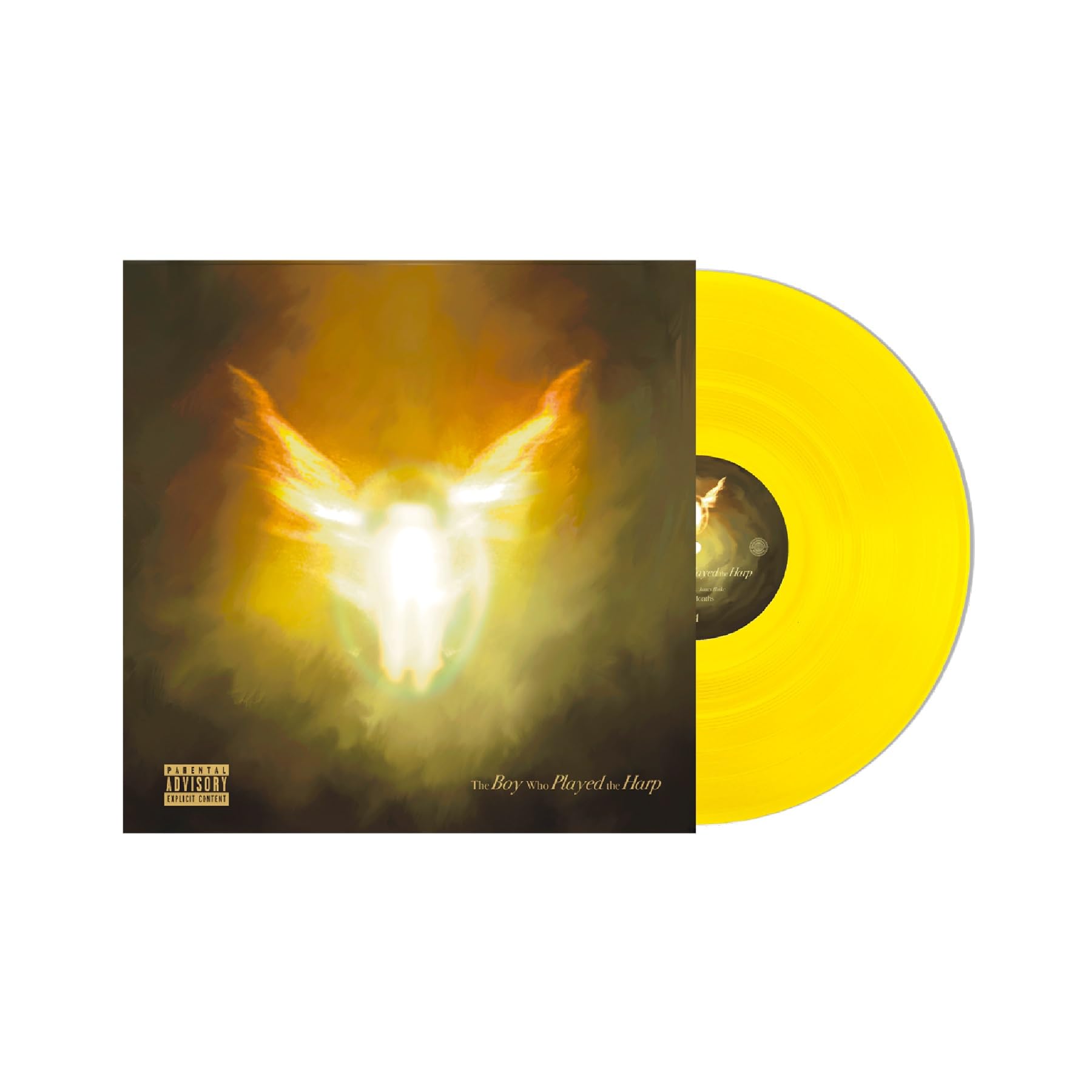 The Boy Who Played the Harp [Vinyl]