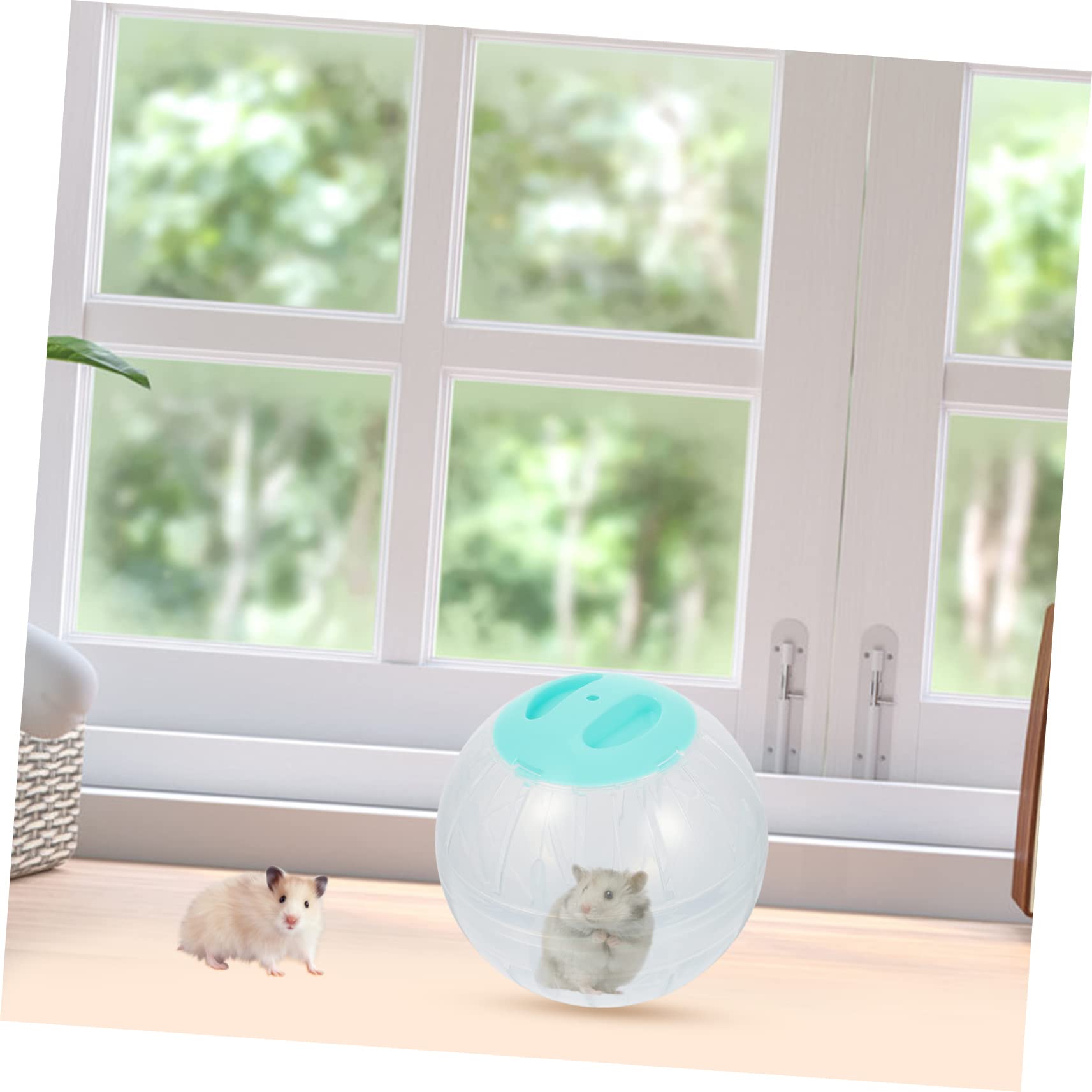 4stücke Hamster Übungsball Transparente Laufkugeln Für Kleine Haustiere Langlebig Und Tragbar Für Hamster Mäuse Und Kleine Igel Fitness Spielzeug