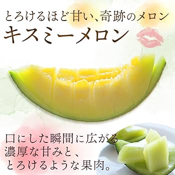 【農家直送】茨城県鉾田市産なだろうレッドメロン 2L・3L2箱 【訳あり特価品】 楽天市場】【ふるさと納税】筑波レッドメロン 1箱 2玉 入り（約