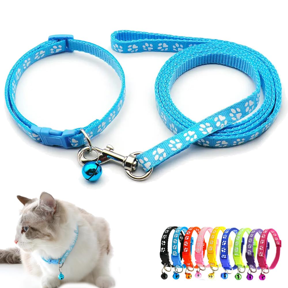 Collier bleu XS réglable nylon souple anti-fugue avec laisse pour chiot