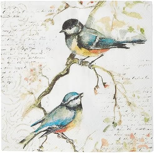 Boston International IHR Cocktail Beverage Paper Napkins, 20-Count, 5 x 5-Inches, Happy Little Titmice