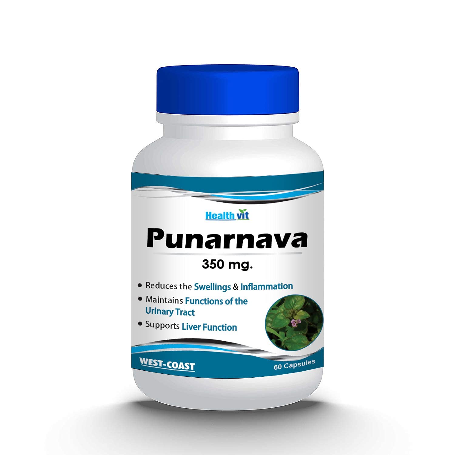 Healthvit Punarnava Powder 350mg - 60 Capsules (B0999J5GGT) Amazon Price History, Amazon Price Tracker