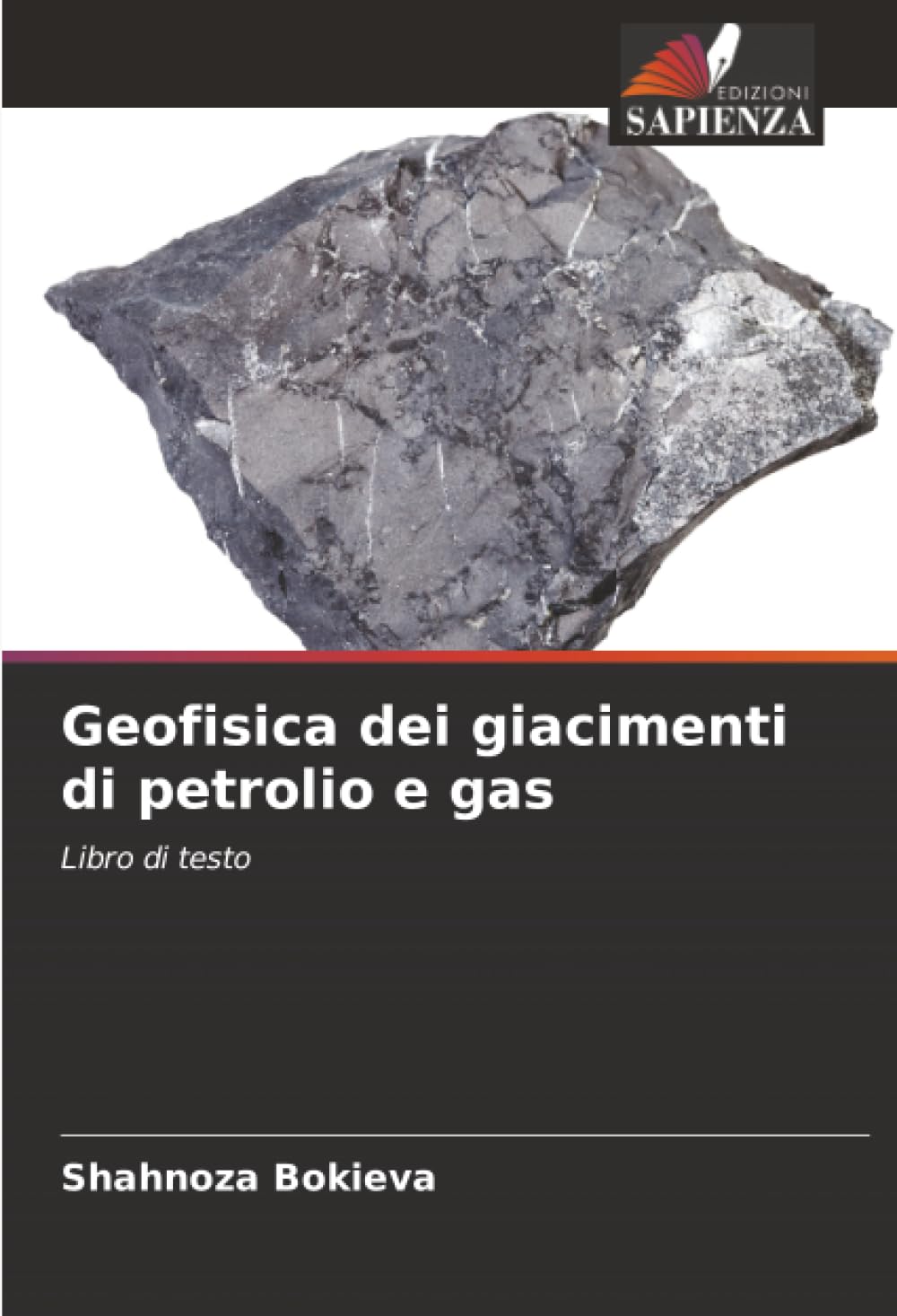 Geofisica dei giacimenti di petrolio e gas: Libro di testo
