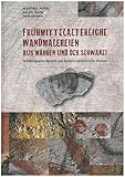 Frühmittelalterliche Wandmalereien aus Mähren und der Slowakei: Archäologischer Kontext und herstellungstechnologische Analyse. (Monographien zur Frühgeschichte und Mittelalterarchäologie) - Herausgeber: Martina Pippal, Falko Daim 