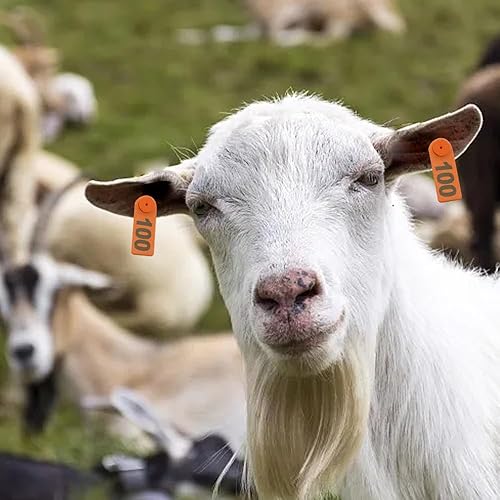 Miniatura 4 de Alicates de oreja de oveja y etiquetas de oreja de cabra numeradas 001-100 y 2 pines para perros, ciervos y animales de ganado (naranja)