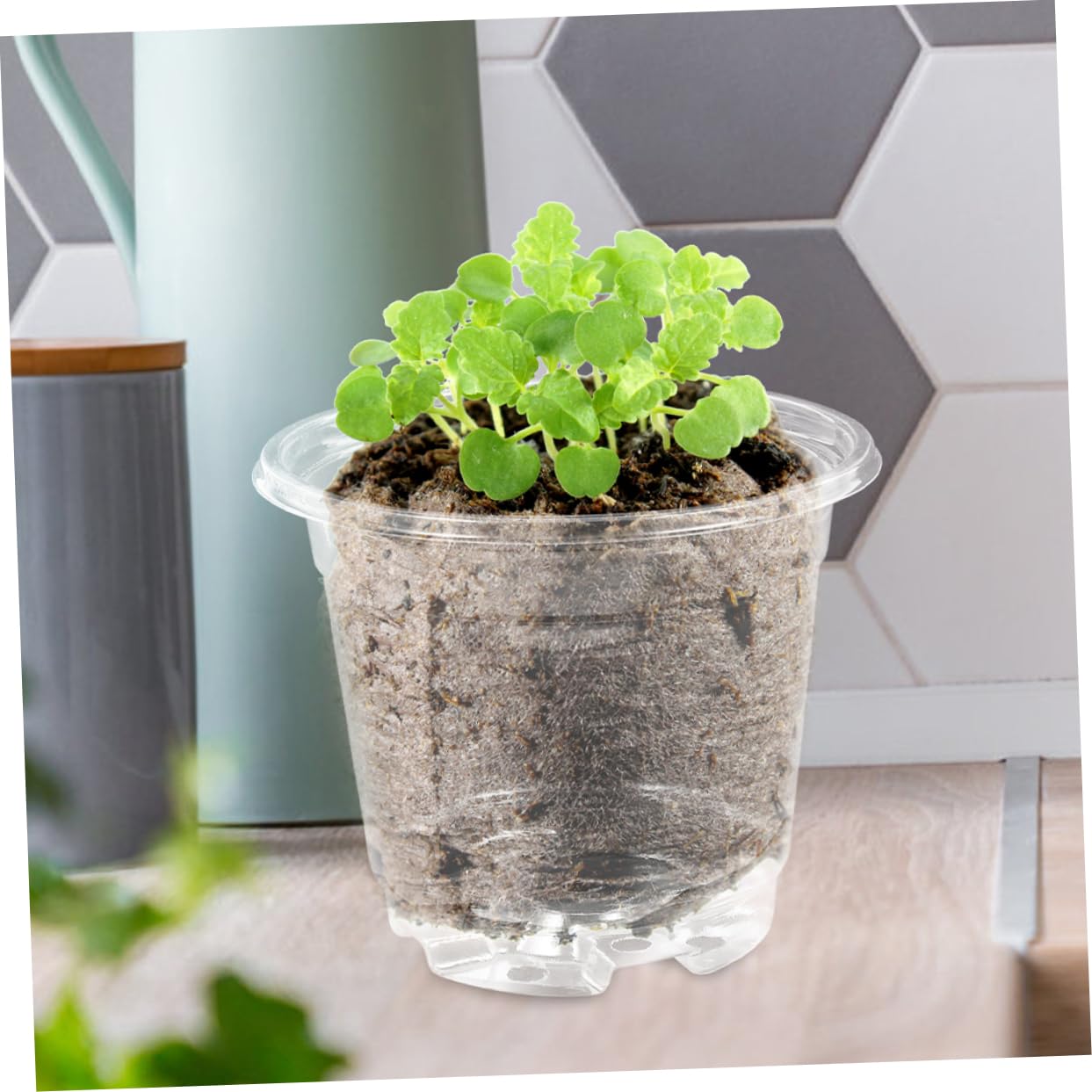 Toddmomy 4 Ensembles Pots de Semis Plastiques avec Couvercle Pots de Jardinage Idéaux pour Plantes et Drainage et Design Pratique