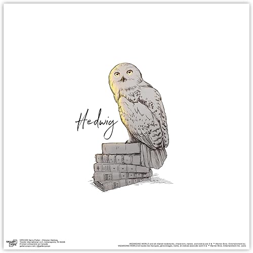 Trends International Gallery Pops Harry Potter - Arte de pared Glimmer Hedwig, versión sin marco, 12 x 12 pulgadas