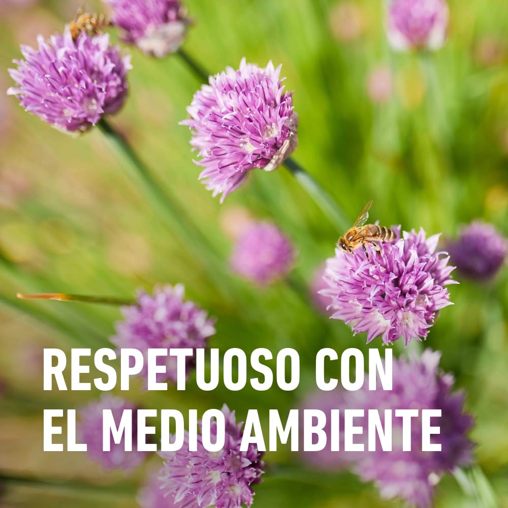COMPO Antihormigas, Formato granulado para espolvorear, de uso interior y exterior, Efecto duradero, 300 g
