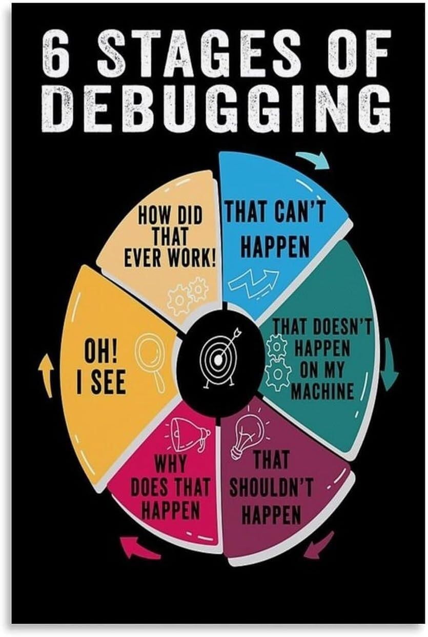 EKFBQBGW Educational Debugging Process Poster 6 Stages of Debugging Wall-Art Chart for Programmers Coding Classroom Tech Office Decor Unframed,08x12inch(20x30cm)