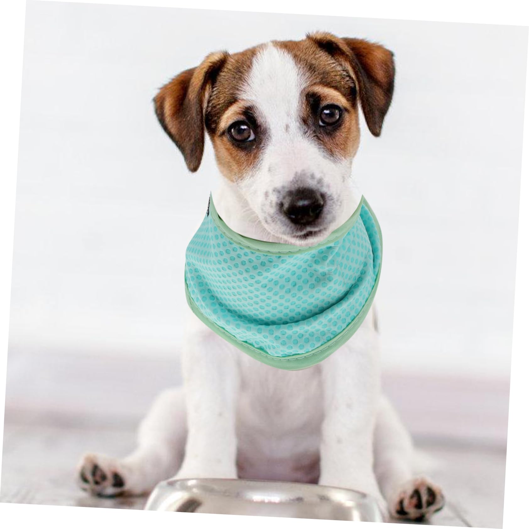FOMIYES 5stücke Puppy Cooling Scarf Für Hunde Atmungsaktive Sommerhalsband Für Haustiere Leichtes Und Tragbares Kühlhalstuch Für Heiße Für Und Aktivitäten