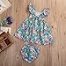 GRNSHTS Baby Girls Flower Print Ruffles Dress Set with Briefs (80 cm/6-12 Months, Floral Dress & Briefs)