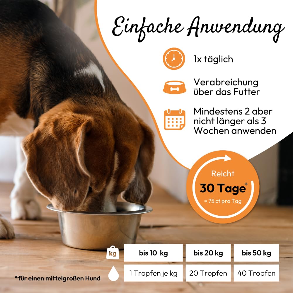 PHA Wurm Tropfen für Hund & Katze - mit Kräutern, Wermut, Schafgabe & Thymian zur natürlichen Darm Unterstützung & Einer normalen Verdauung, 50 ml