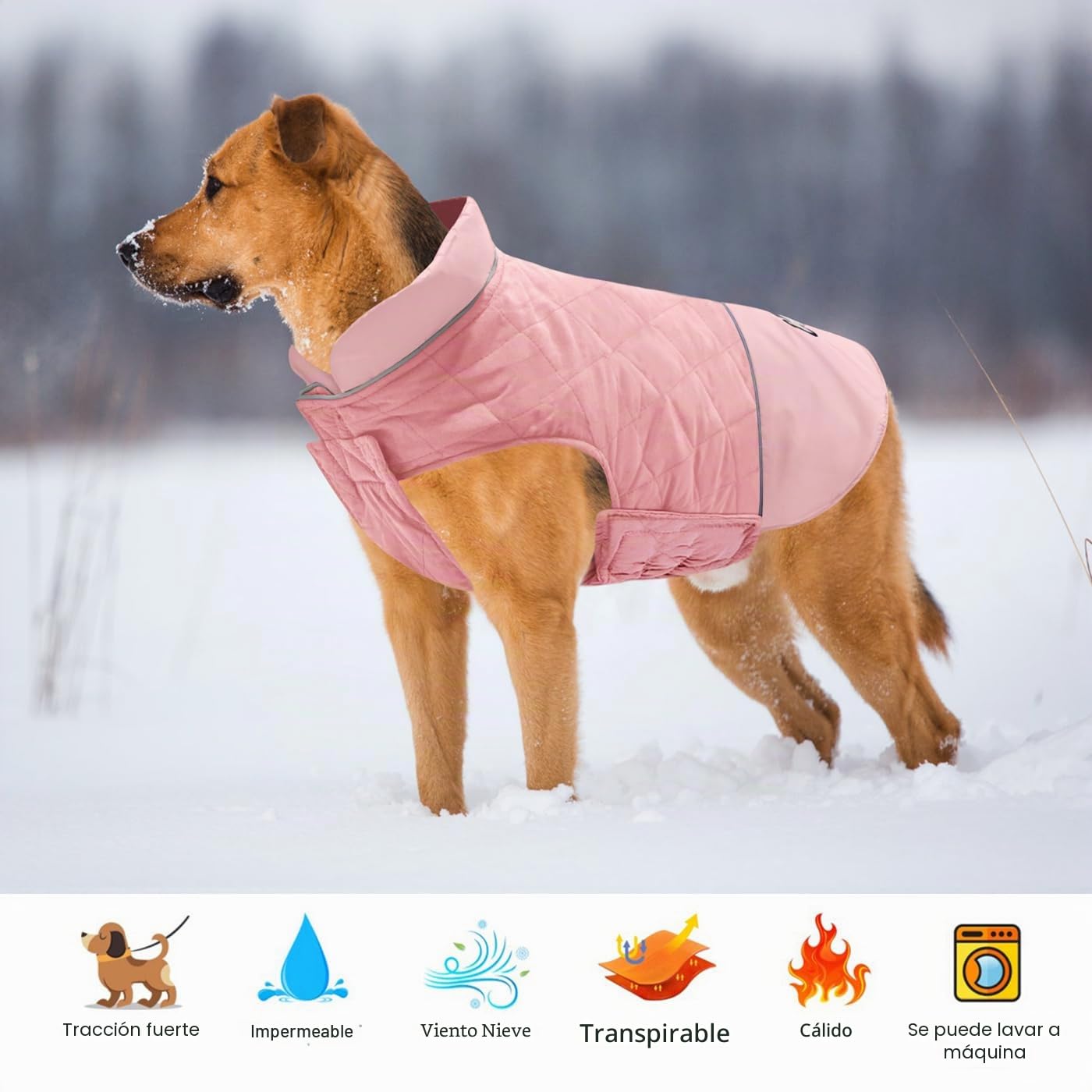 Idepet Abrigo para Perro A Prueba De Viento Chaqueta Cálida De Invierno, Ropa para Perros con Traje De Nieve Anti-Nieve para Perros Pequeños Medianos Grandes con Agujero De Arnés (Rosa, XX-Large)