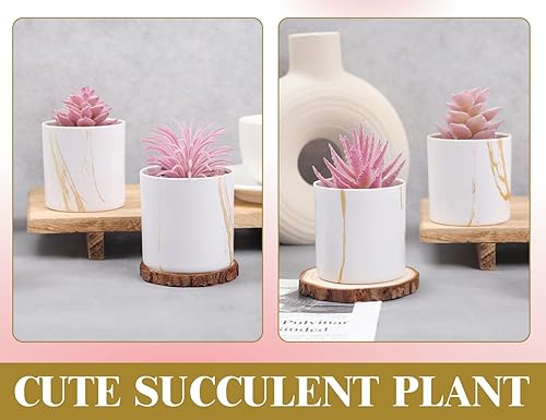 Miniatura 6 de Der Rose 4 Paquetes de Plantas Suculentas Falsas Artificiales de Interior para Decoración de Habitación Rosa y Baño, Accesorios de Escritorio de
