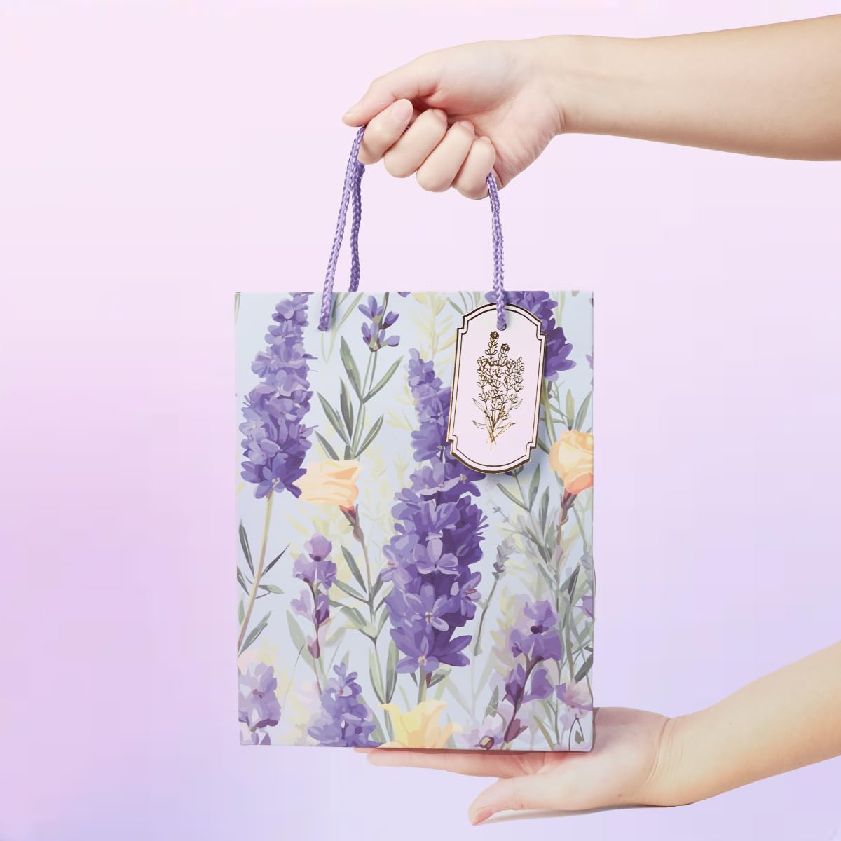 View 4