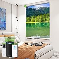 Vista 24 de TIPIACE Persianas de impresión motorizada recargables con control remoto, persiana enrollable de tela opaca completa compatible con Alexa Google