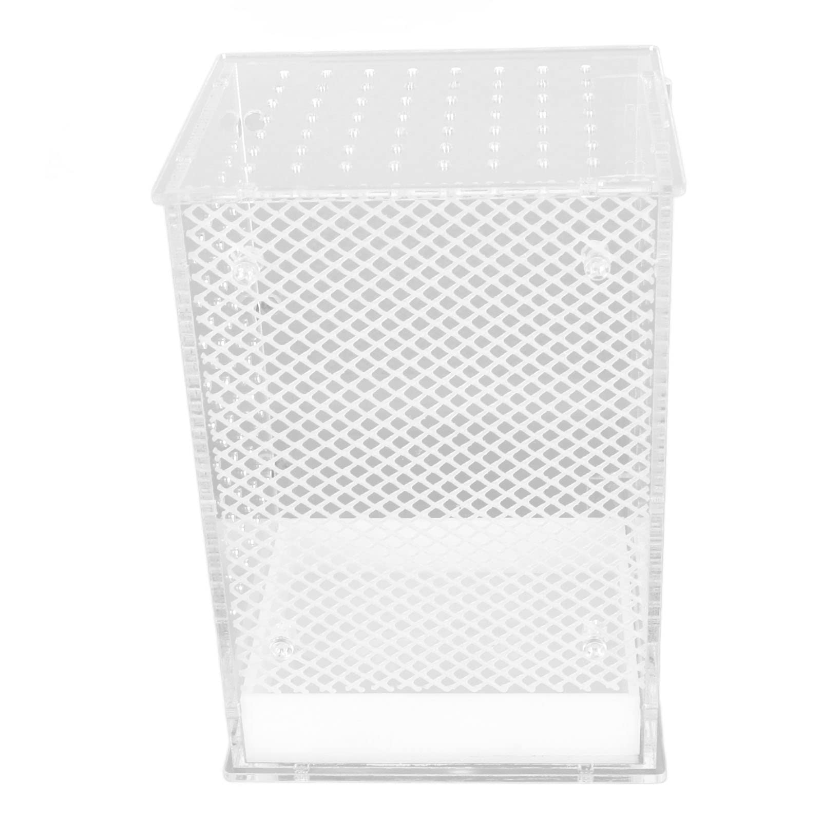 Terrario para Reptiles, Caja Acrílica Transparente para Gecko Leopardo y (Tamaño pequeño)