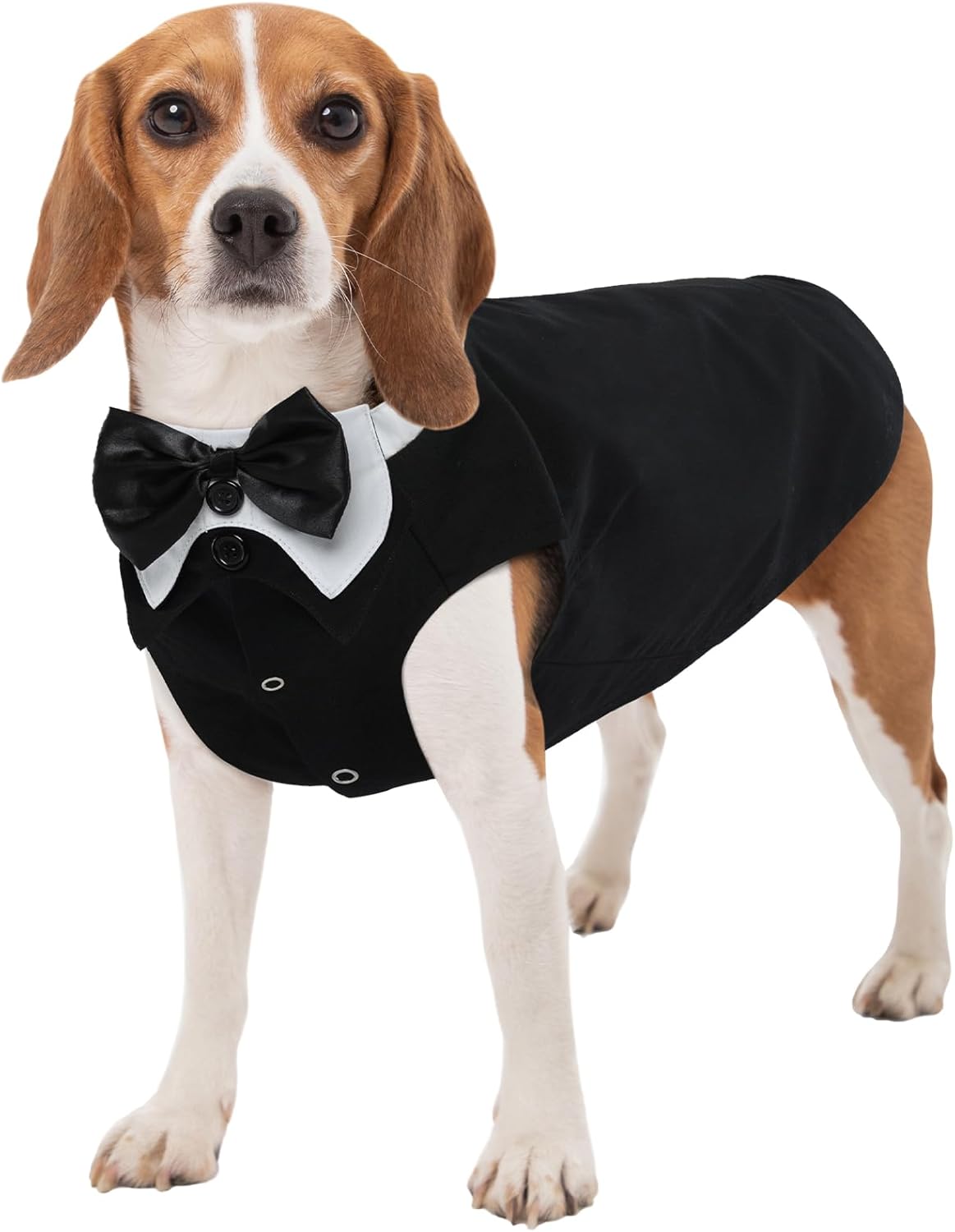 Kuoser Dog Tuxedo, 2 Pack Suit and Bandana Set, Formal Tux Pet Wedding Outfit, Costumes for Small Medium Large Dogs, Halloween Christmas Outfit for Cosplay Birthday Party, Black, M Medium(Chest Girth:20.86'') Black