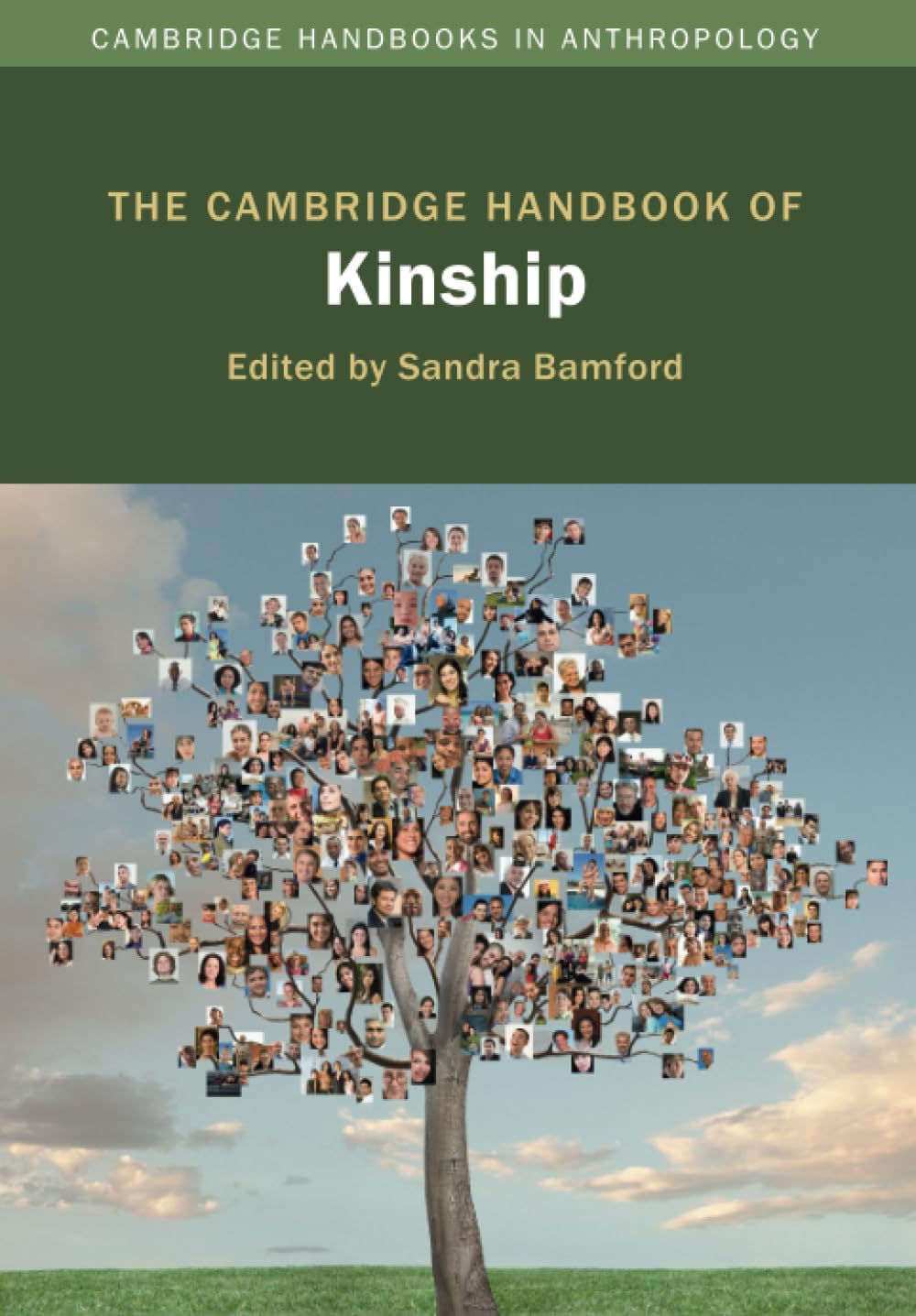 The Cambridge Handbook of Kinship (Cambridge Handbooks in Anthropology)