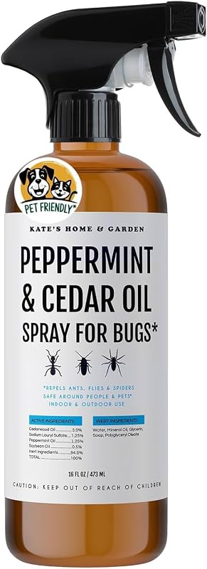 Kate's Home & Garden Aceite de menta en aerosol para insectos, hormigas y arañas (16 oz) | Control de plagas repelente de interiores natural, no tóxico, pesticida e insecticida con aceite de cedro para insectos, cucarachas y chinches