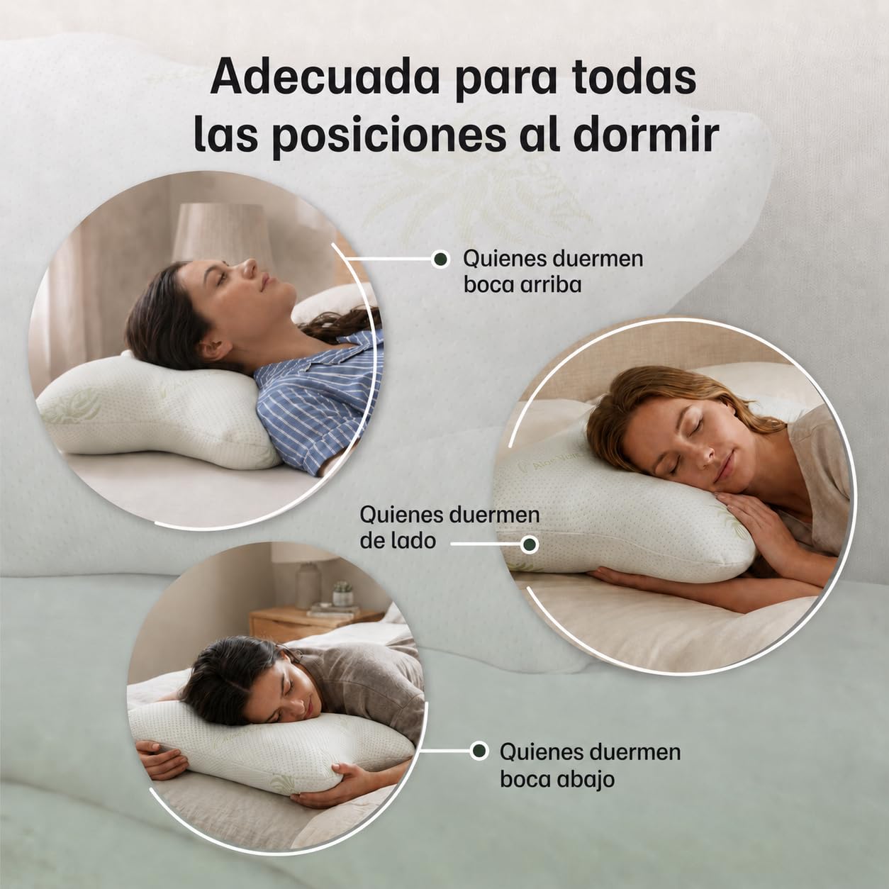 BCS Home&Sleep Cojín Antiarrugas Para Mujeres Y Hombres, Almohada De Belleza Con Funda De Aloe Vera, 55 X 35 Cm, Blanco | Almohada antiedad para mujeres y hombres, para mujeres y hombres, almohada de belleza con funda de aloe vera
