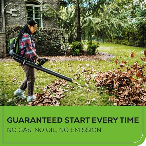 Image of Greenworks 60V Cordless Leaf Blower (550 CFM / 160 MPH) Variable Speed Brushless Backpack Blower for Fall Leaf Removal, Yard, Patio, Driveway Outdoor Cleaning, 5.0Ah Battery & 6A Charger Included