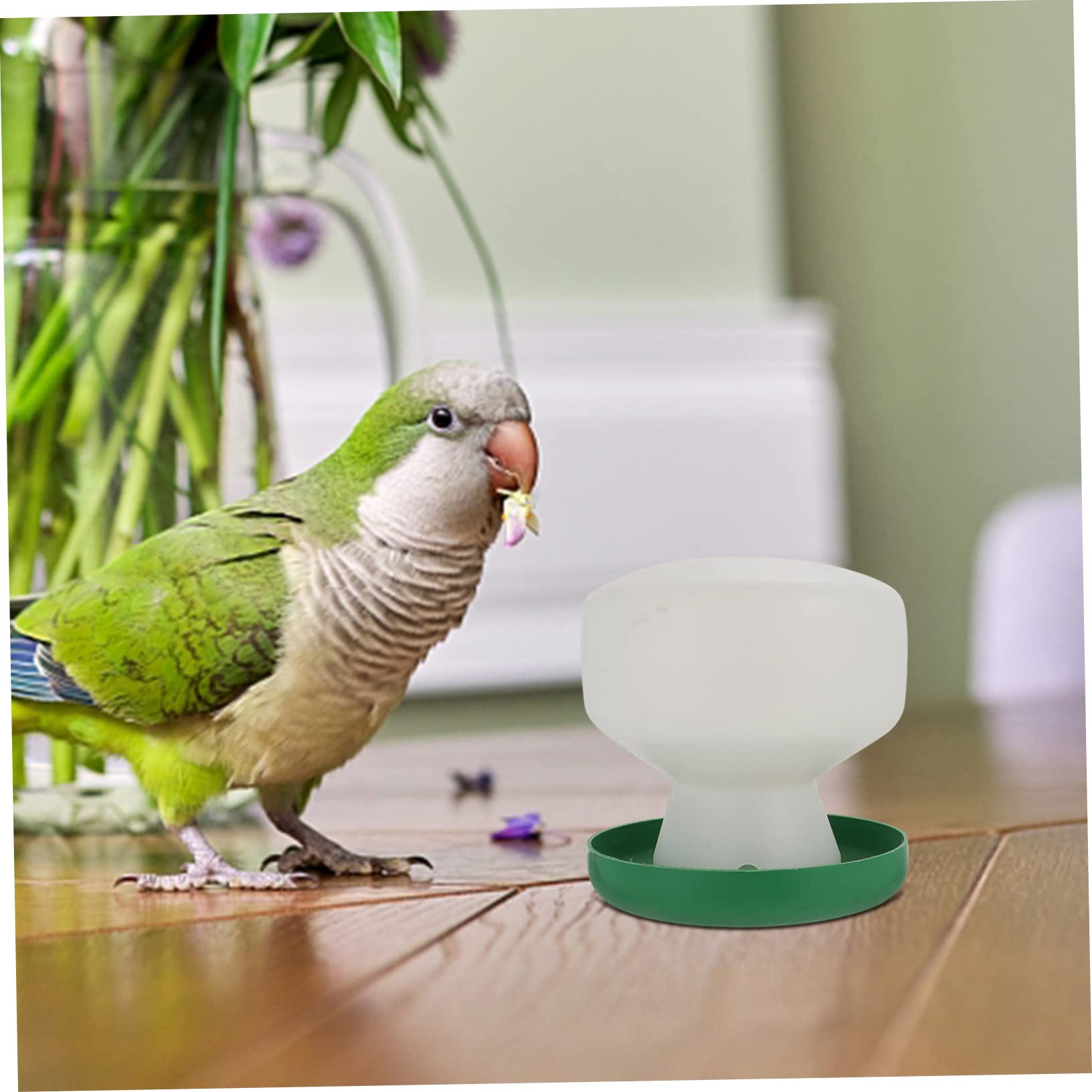 Housoutil 6 Pièces Abreuvoir À Pigeons Cage À Oiseaux Distributeur d'eau Outils d'alimentation De Perruches Fournitures pour Animaux De Compagnie Accessoires pour Oiseaux Calopsittes