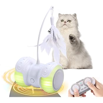 remote control kitten