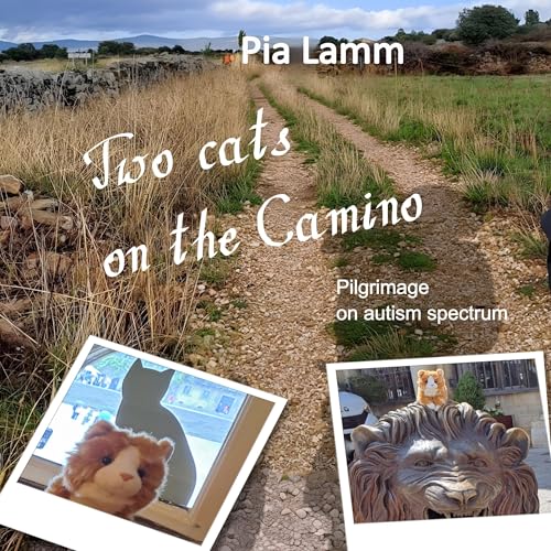 『Two Cats on the Camino: Pilgrimage on Autism Spectrum』のカバーアート