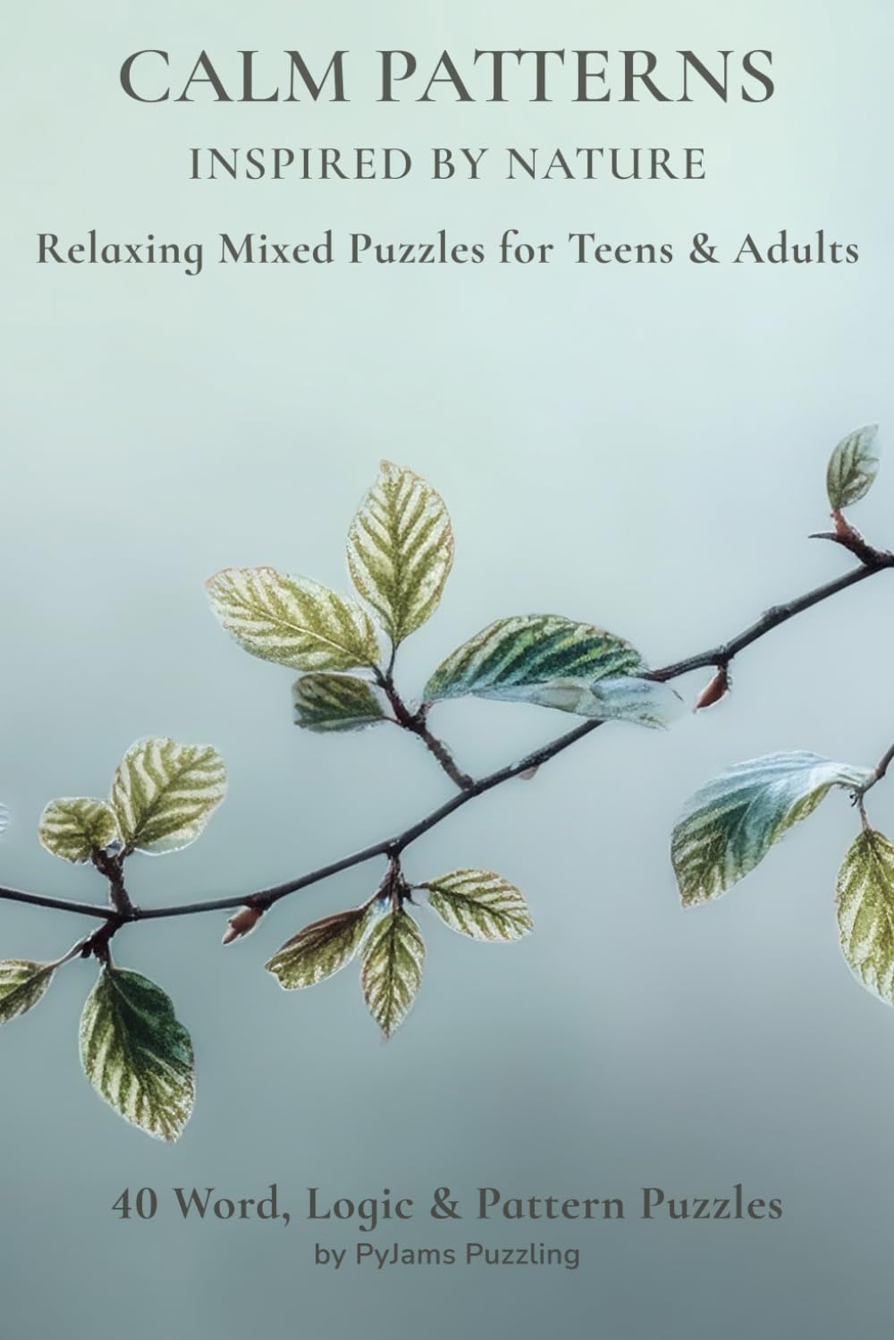 Calm Patterns: Relaxing Mixed Puzzles for Teens & Adults