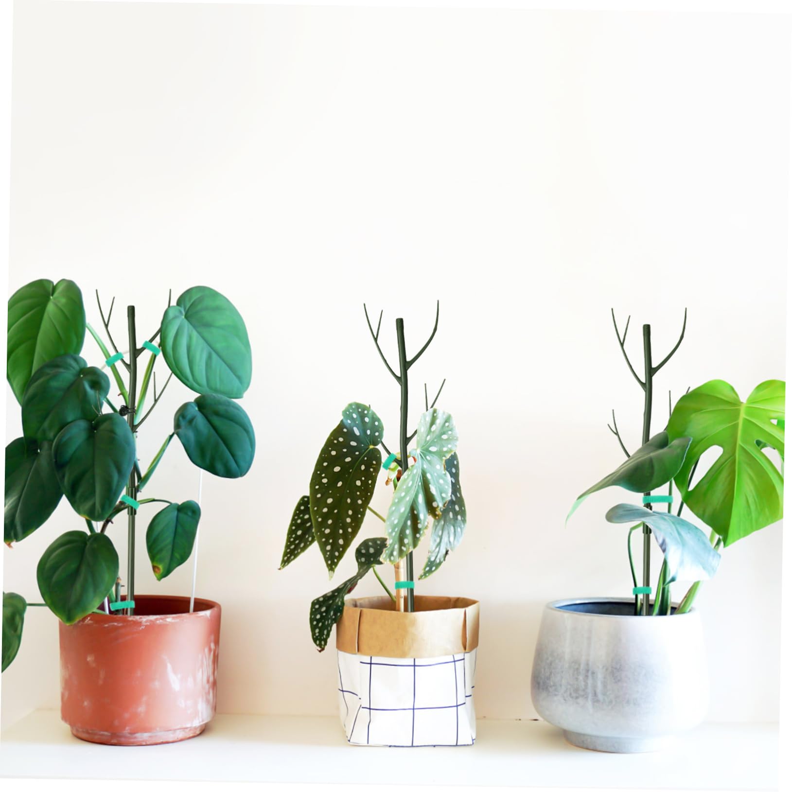 Mikikit Tuteur Plastique Support Extensible, en Vert 1 Set Clips, Attaches pour Plantes Grimpantes, pour Intérieur et Jardin