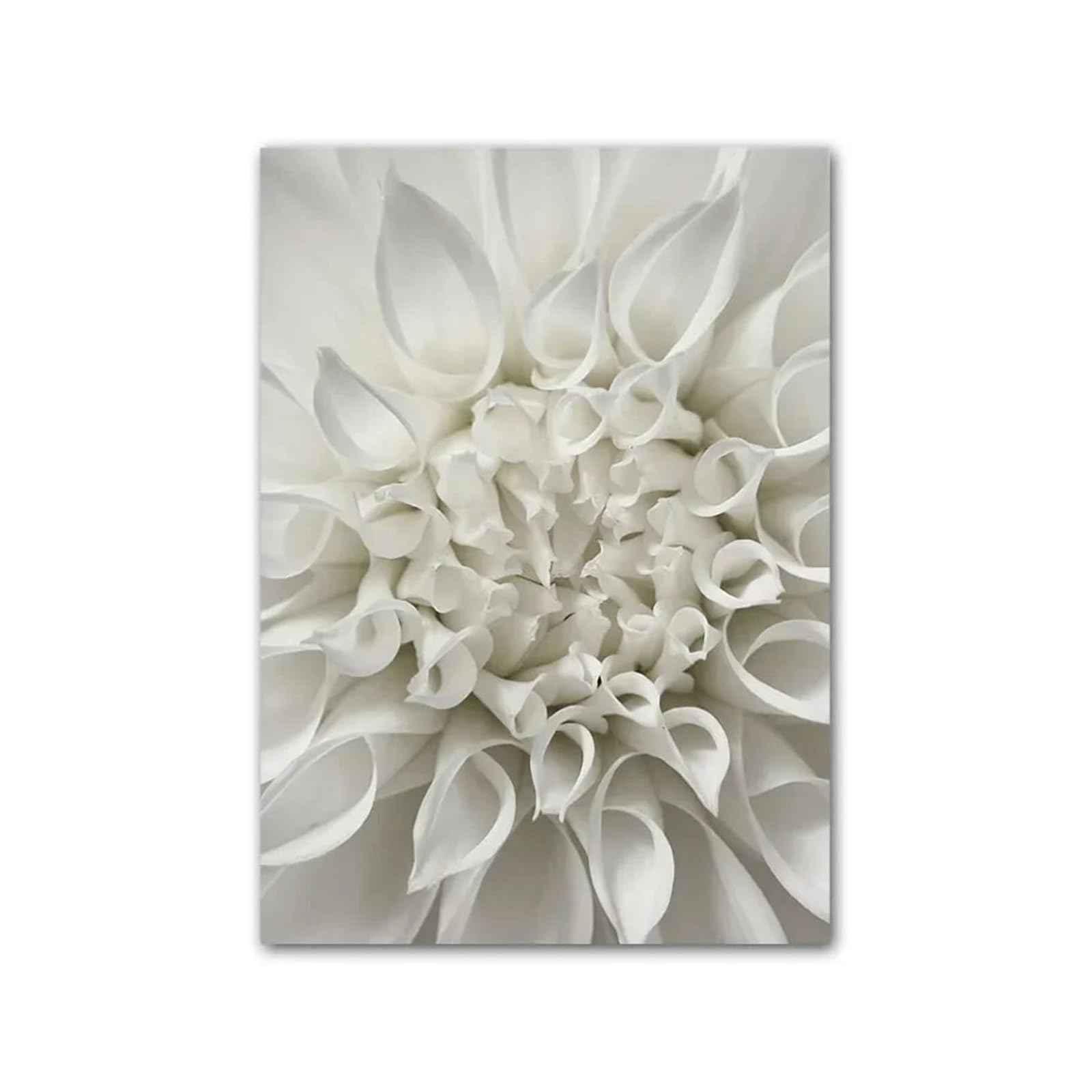 Póster blanco y negro en lienzo de 20x25 cm para vestir tus paredes