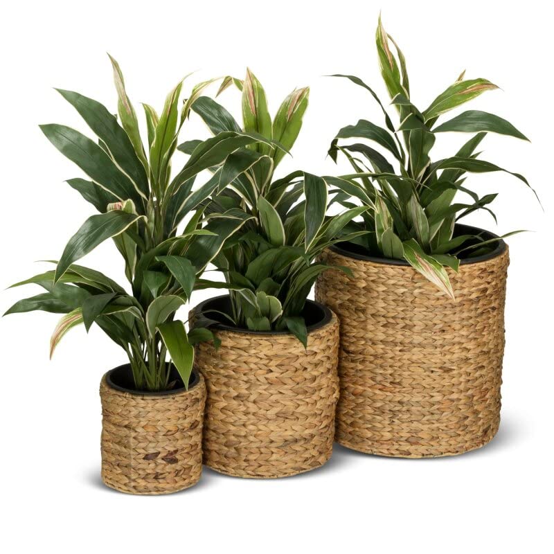 DECORAS 3er Set Pflanzkübel Blumenkübel RENDONDO Wasserhyazinthe, Maße: 44x44x44 cm, 32x32x32 cm und 22x22x22 cm, braun - Pflanztopf, Pflanzgefäß für Innenbereiche
