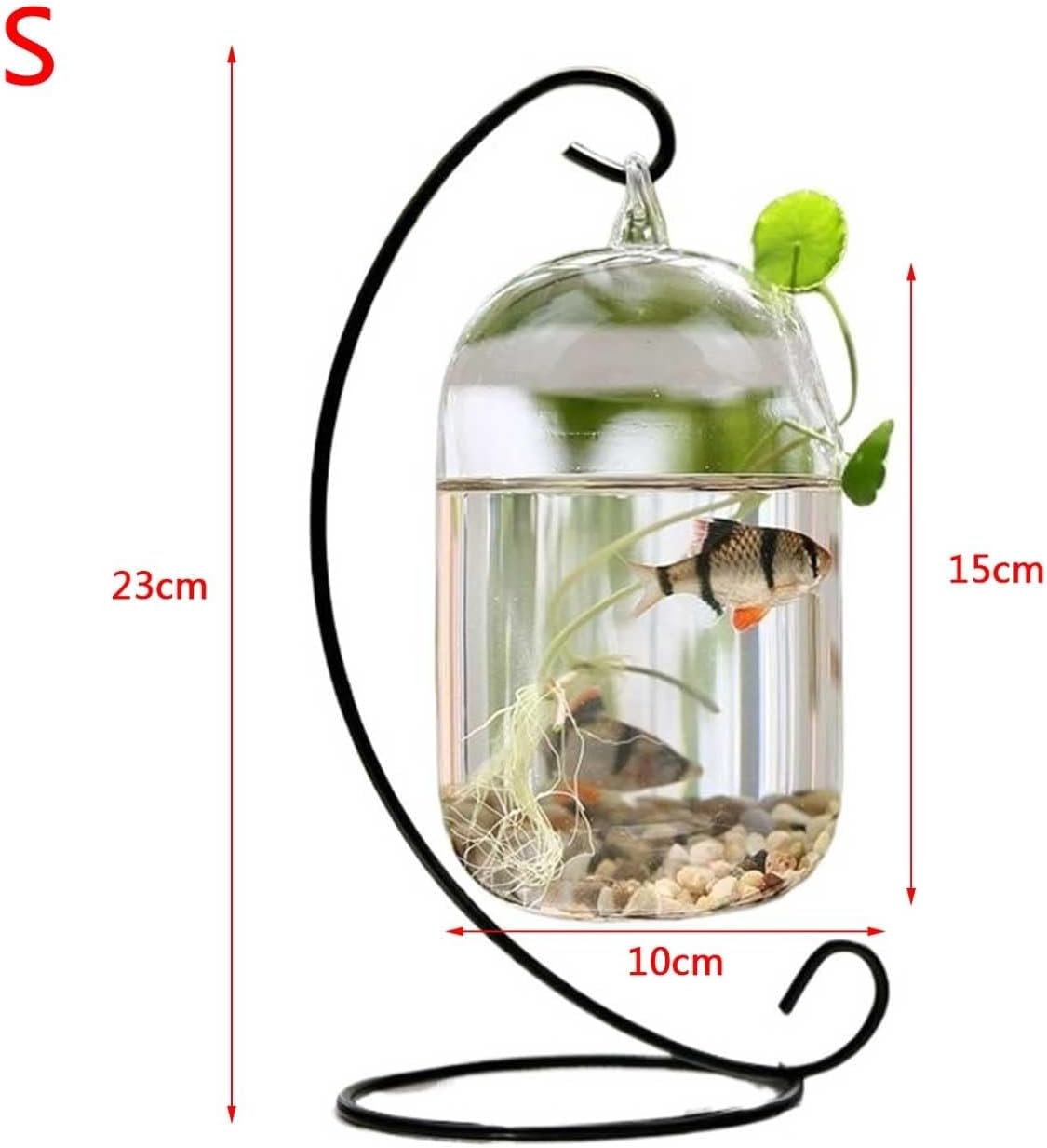 Aquarium Tank Small Fish Tank Hanging Design Lovely Glass Small Fish Tank Metal Frame Hanging Desktop Decorative Fish Tanks Desktop Fish Tank(Black,Small)