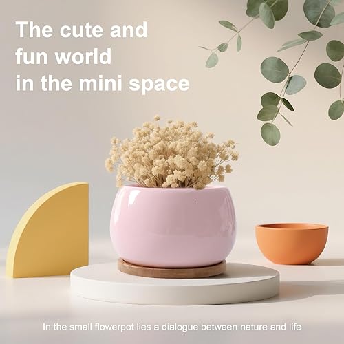 Vista 13 de Jusalpha Maceta grande de cerámica de 5 pulgadas con orificio de drenaje y platillo de bambú para plantas de interior, maceta 07 (azul)