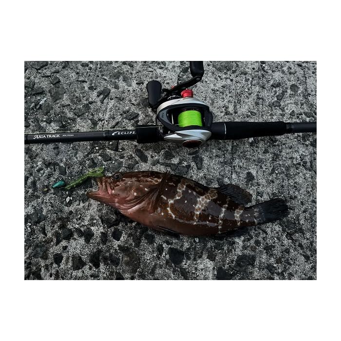 Amazon | エクリプス(Eclipse) アクシアトラック (AXIA TRACK) ロック