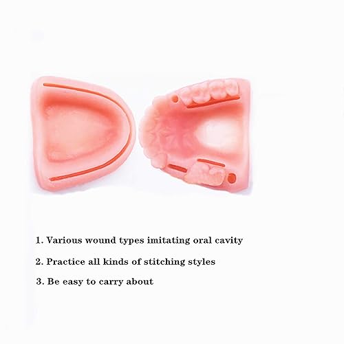 Vista 11 de Kit de práctica de sutura, kit de sutura oral para entrenamiento de sutura para dental, 21 piezas que incluye silicona suave biónica oral múltiples