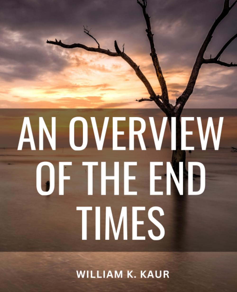 An Overview Of The End Times: A Comprehensive Guide to Understanding the Revelation of Jesus Christ | Decoding the Complexities of Biblical Prophecy and Eschatology