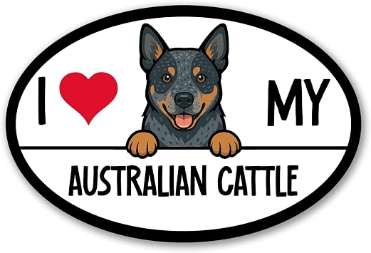 I Love My Australian Cattle Dog Oval Car Magnet 4x6 Inch, Dog Lover Gift