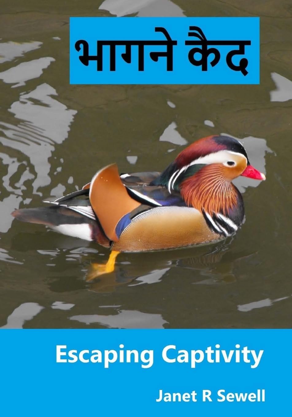 Escaping Captivity: A Simple Guide to Becoming Whole in Christ