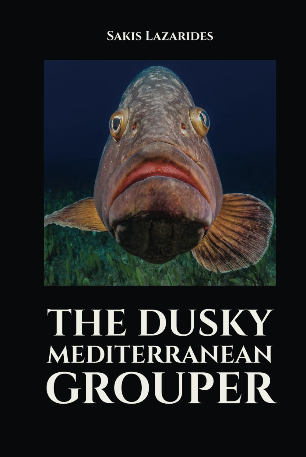 The Dusky Mediterranean Grouper