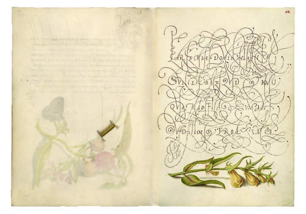 Mira Calligraphiae Monumenta: A Sixteenth-Century Calligraphic Manuscript Inscribed by Georg Bocskay and Illuminated by Joris Hoefnagel