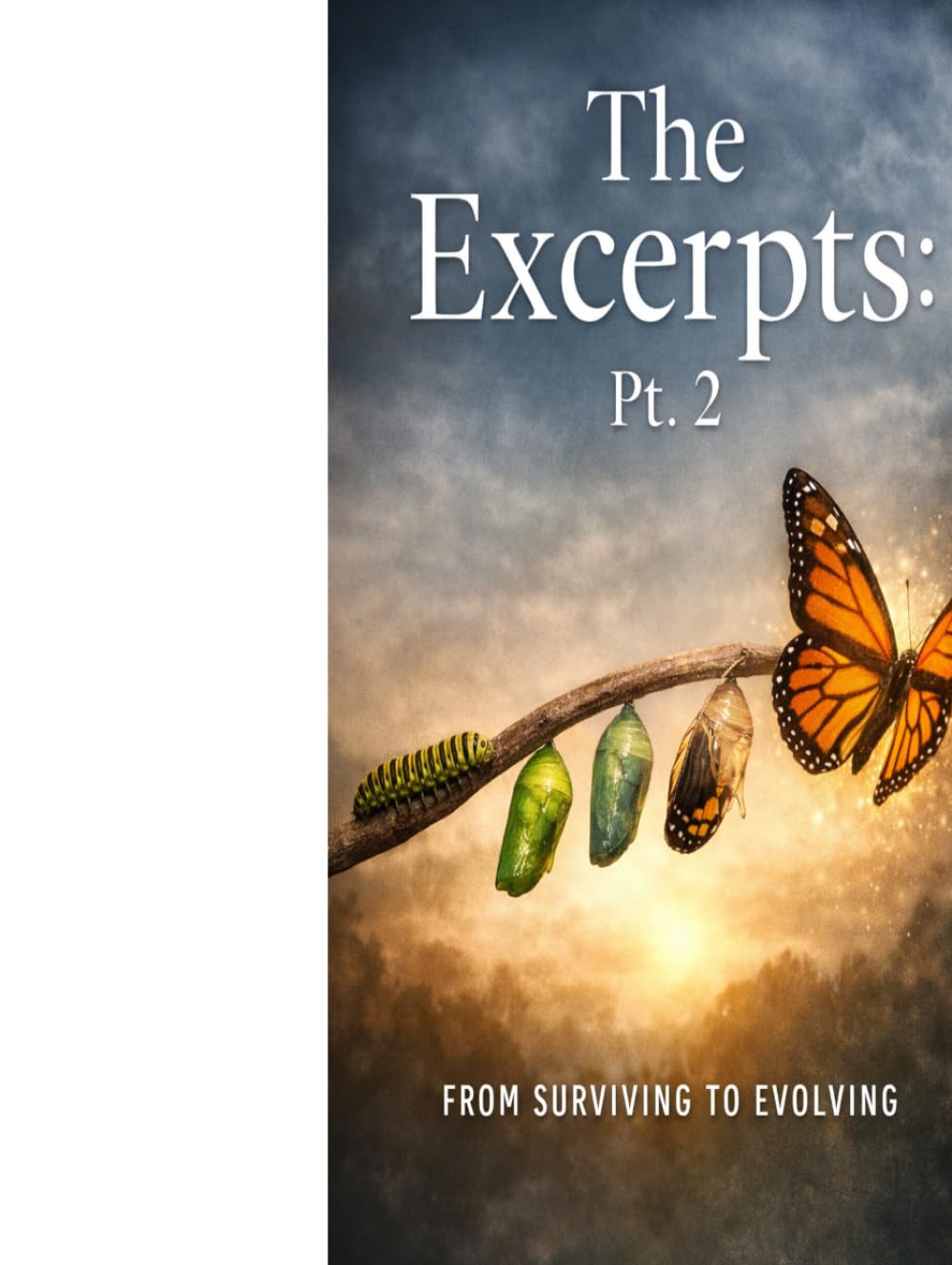 The Excerpts Pt. 2: Echoes from the Void