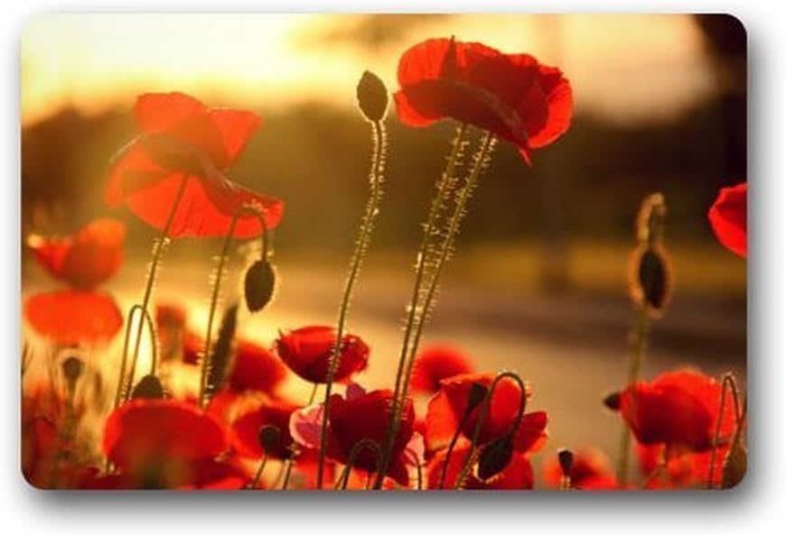 Door Mats Novelty Design Custom Poppy Flower Indoor/Outdoor Doormat Machine-washable Floor/Bath Decor Mats Rug