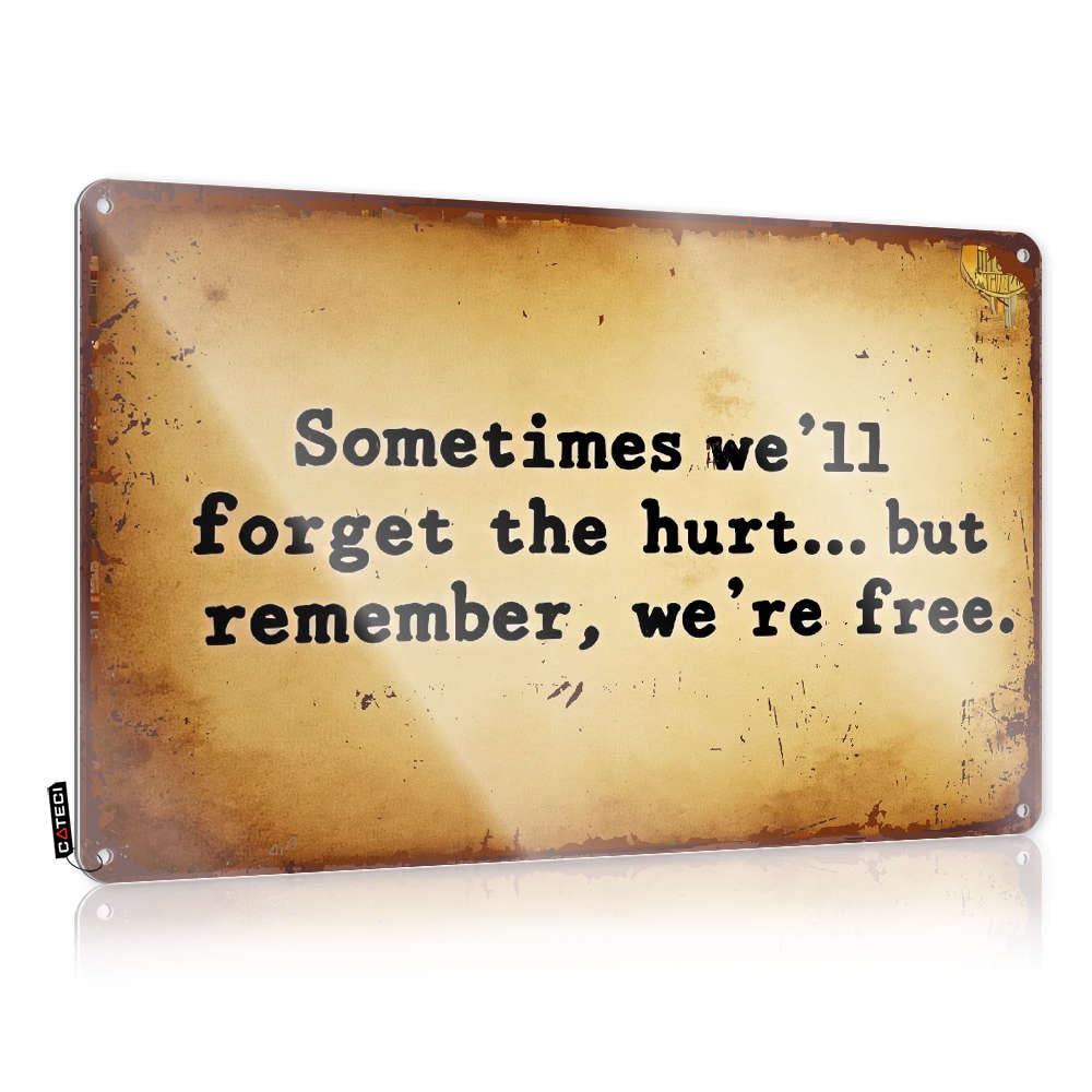 Fzfn Colour Sometimes We'll Forget The Hurt. But Remember, We're Free. Modern Work Hanging | Grunge Farmhouse Signs Haves Vintage Metal Wall Decor(30X40cm)