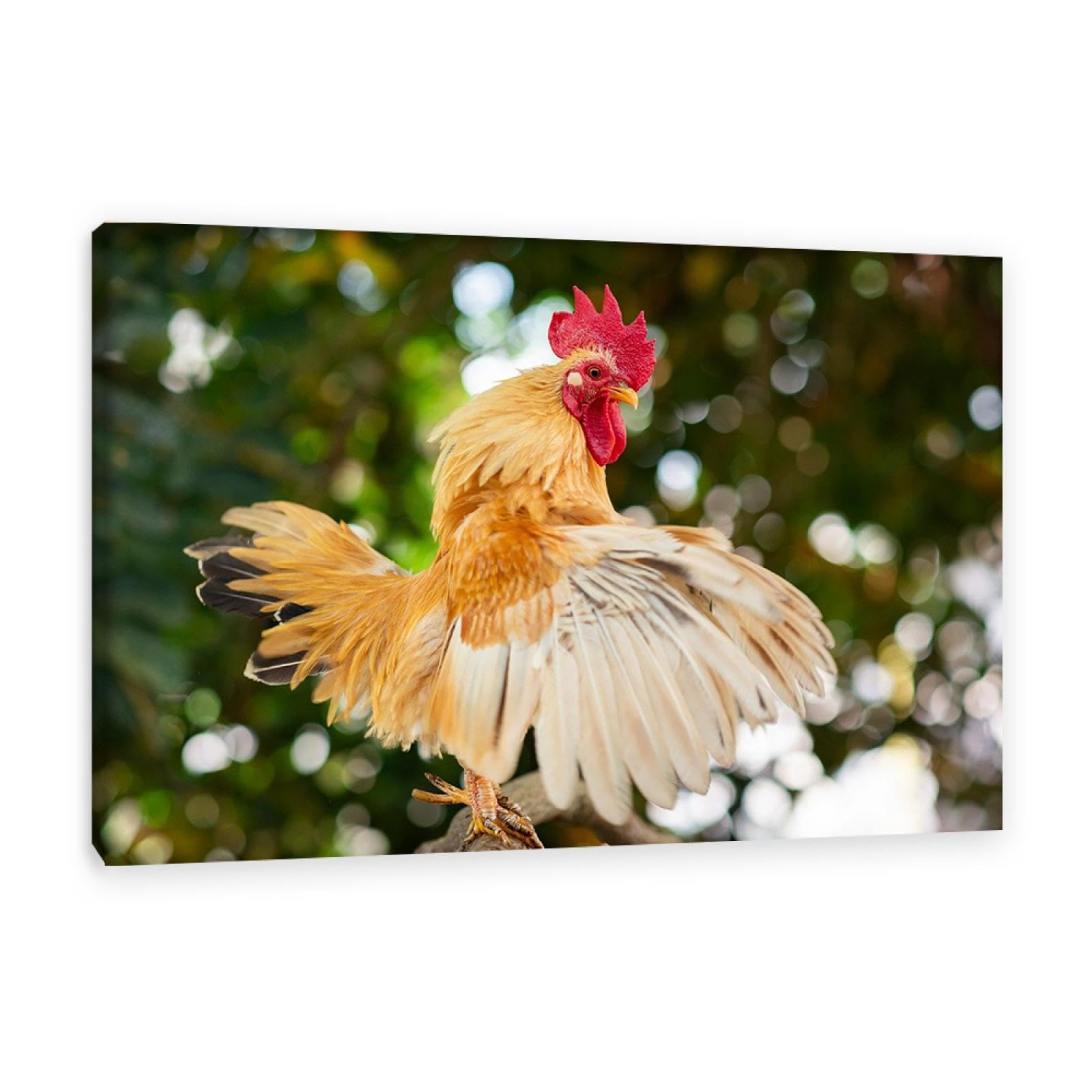 MOBYAT Kunstdruck auf Leinwand Huhn,GemäLde Huhn,Wildes Tiergemälde Hahn,Bild Huhn Leinwand,Wandbilder Bauernhof75x50cm(30x20in) Innenrahmen